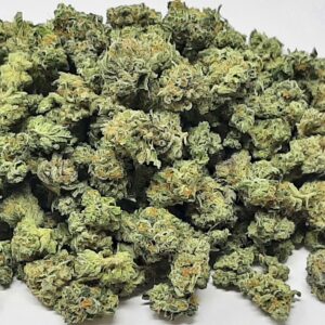 AAAA Tropic Thunder By Green Valley