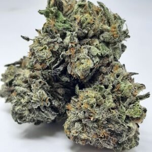 AAAA Northern Lights Mediums By Green Valley