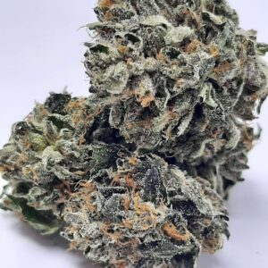 AAAA Fucking Incredible Mediums By Green Valley