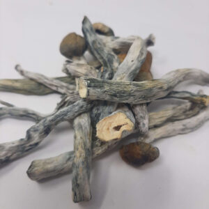 AAAA Blue Polaski Magic Mushrooms