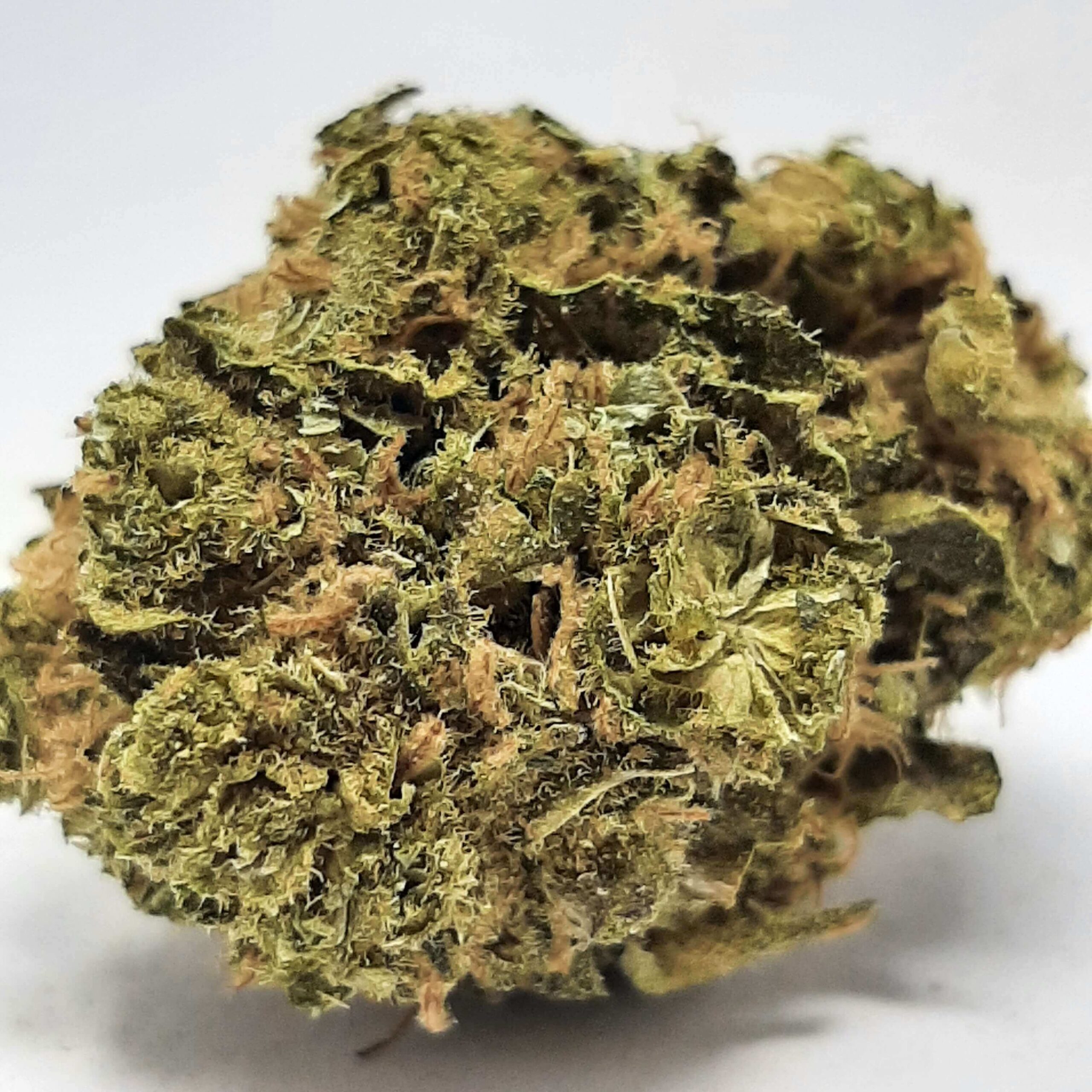 20250724_123629 (1) (1)