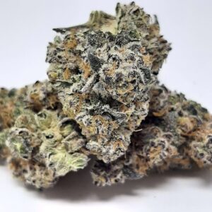 AAAA Jigglers Mediums By Green Valley