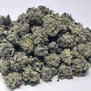 AAAA Granddaddy Purple Mediums By Green Valley