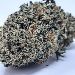 AAA+ Jack Herer