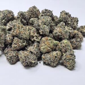 AAAA Blueberry Gushers Mediums By Green Valley