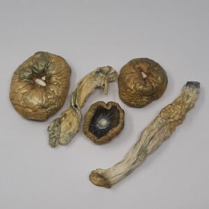 AAAA Melmac Magic Mushrooms