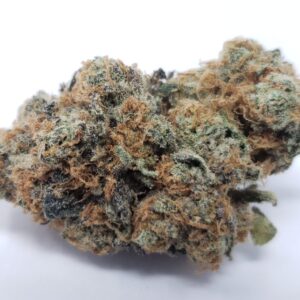 AAAA Sophies Breath by Kootenayz Exoticz