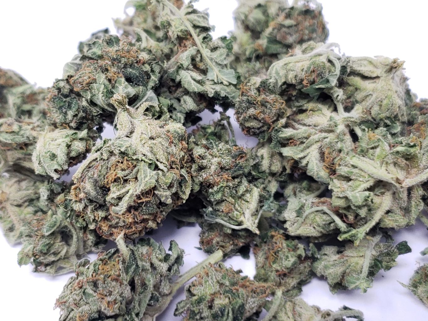 tahoe-small-scaled-1