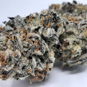 AAAA+ White Truffle By Kootenayz Exoticz