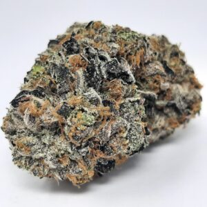 AAAA King Louis By Green Valley