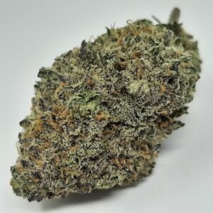 AAA+ Super Silver Haze