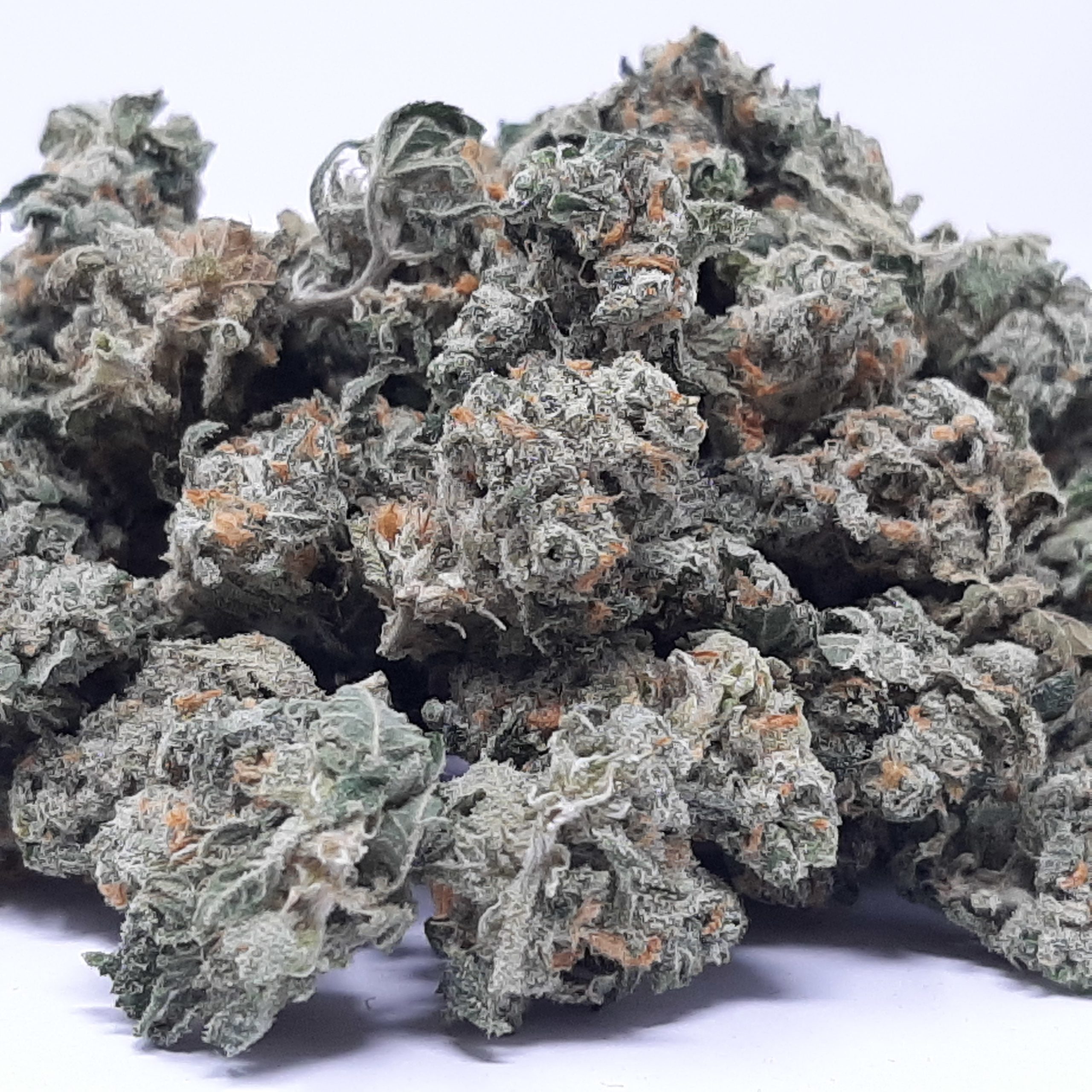 20230117_133720-1-scaled-1