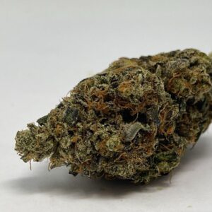Girl Scout Cookies